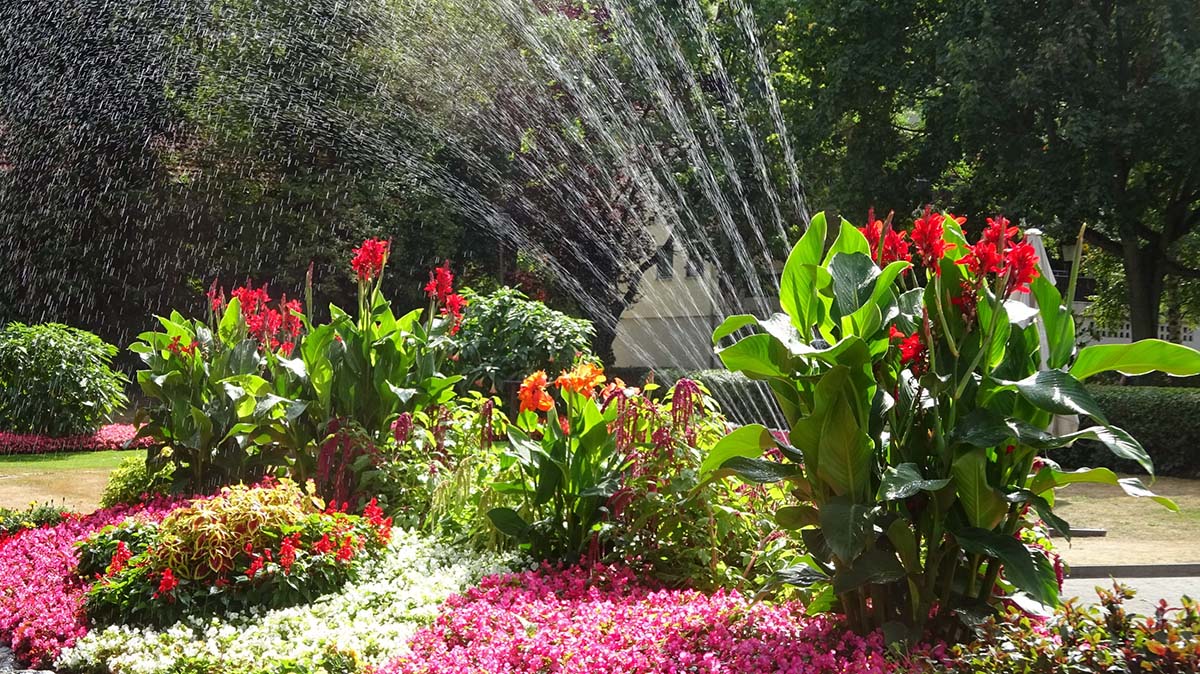 Wassersprenger im Garten