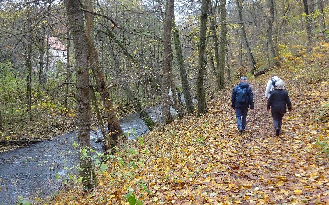 Selketal – Schätze für Schatzsucher