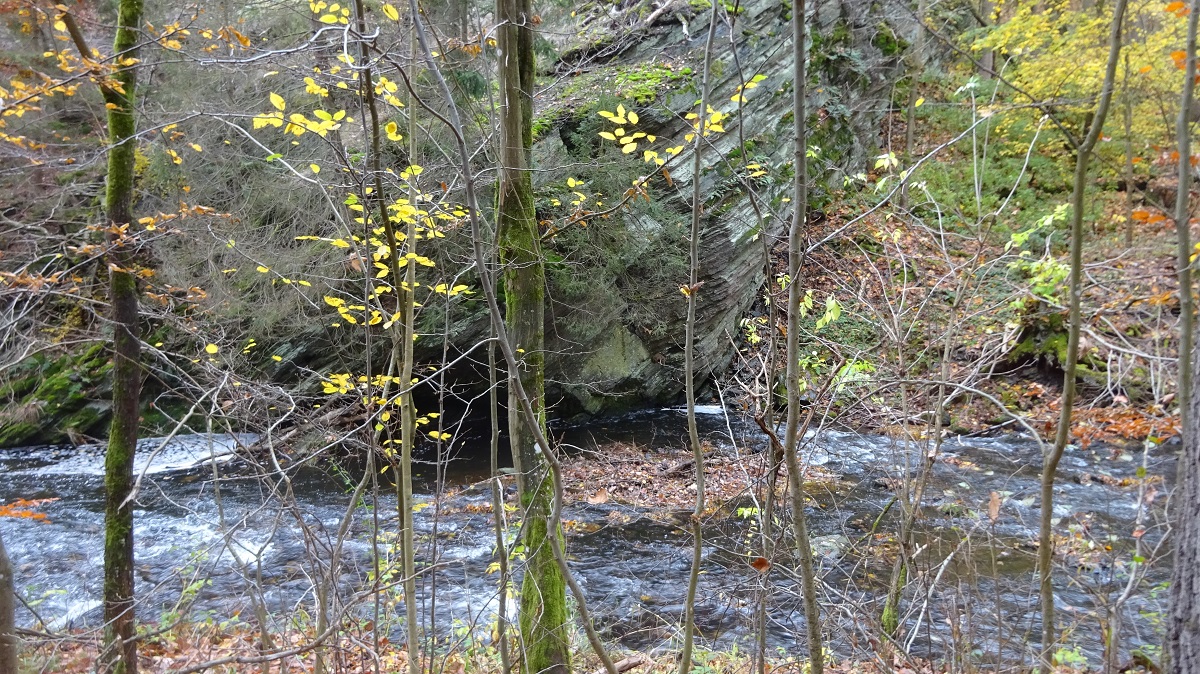 DSC06005