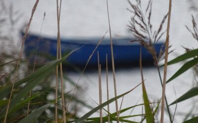 Jeder Einzelne zählt