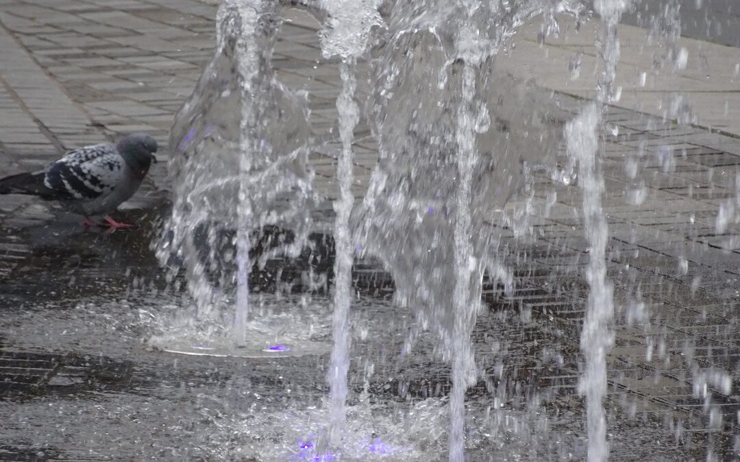 Partnerschaft erneuern