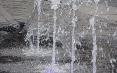 Partnerschaft erneuern