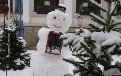Schnee- oder Schlaumänner