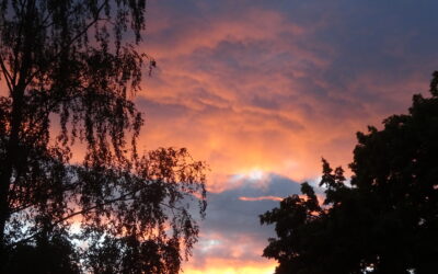 Guter Streit