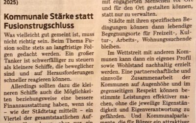 Zusammenarbeit statt Fusion